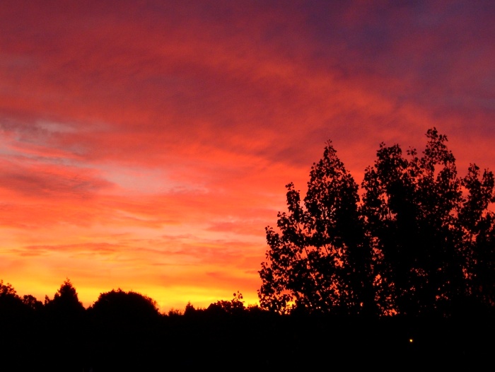 loughton sunrise by paul durrent.jpg